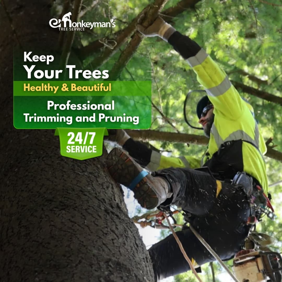 Monkeyman's Tree Service