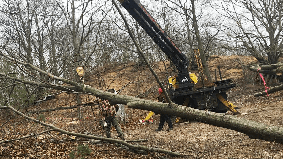A Cut Above Tree Care!
