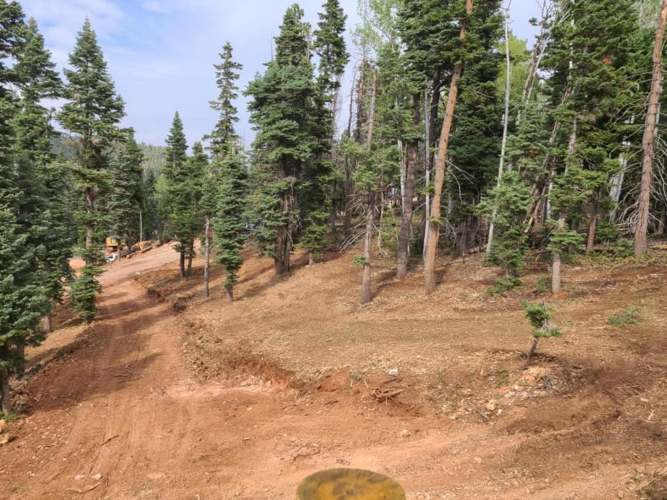 Apex Tree Professionals