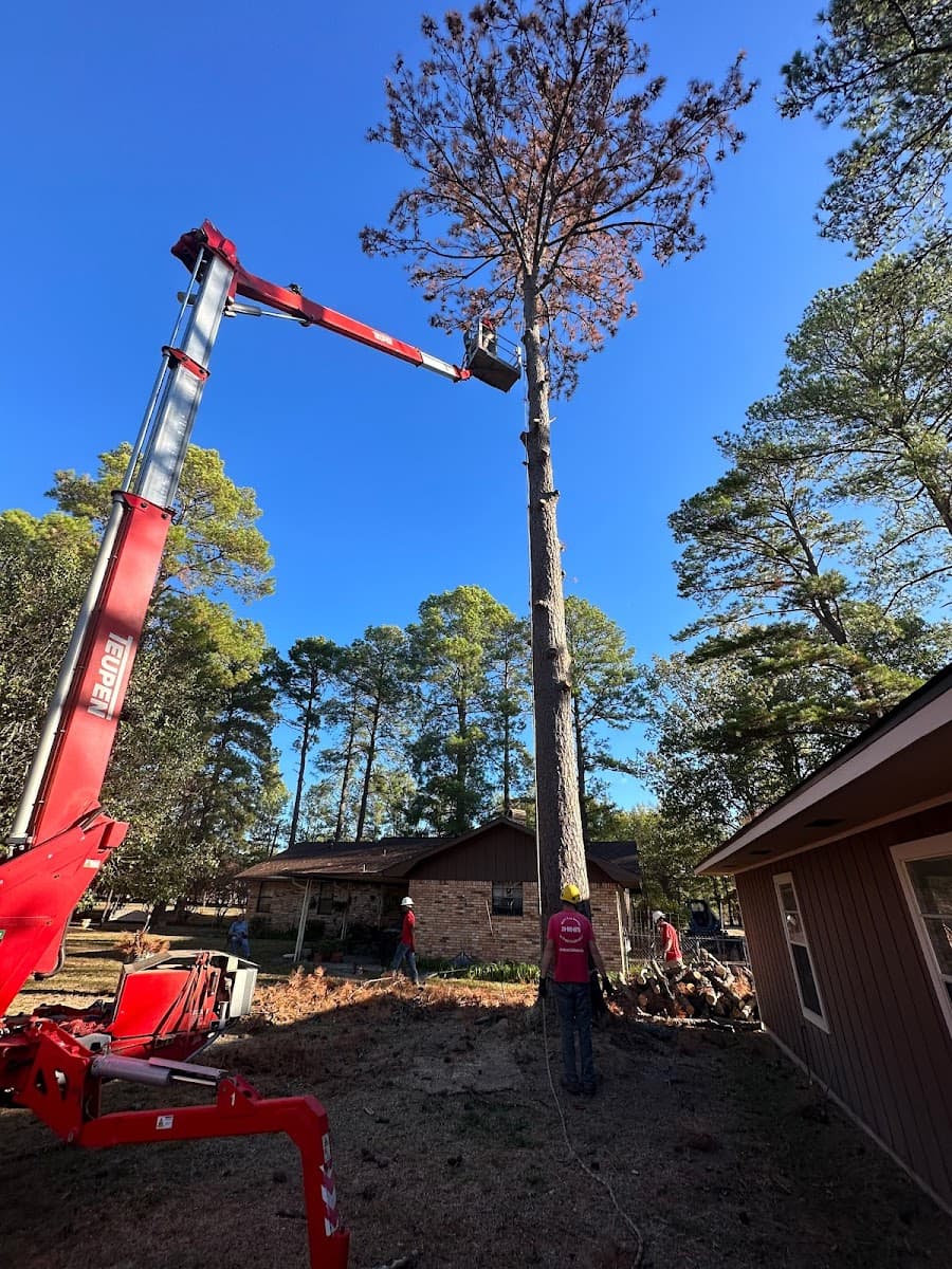 Walls Tree Service