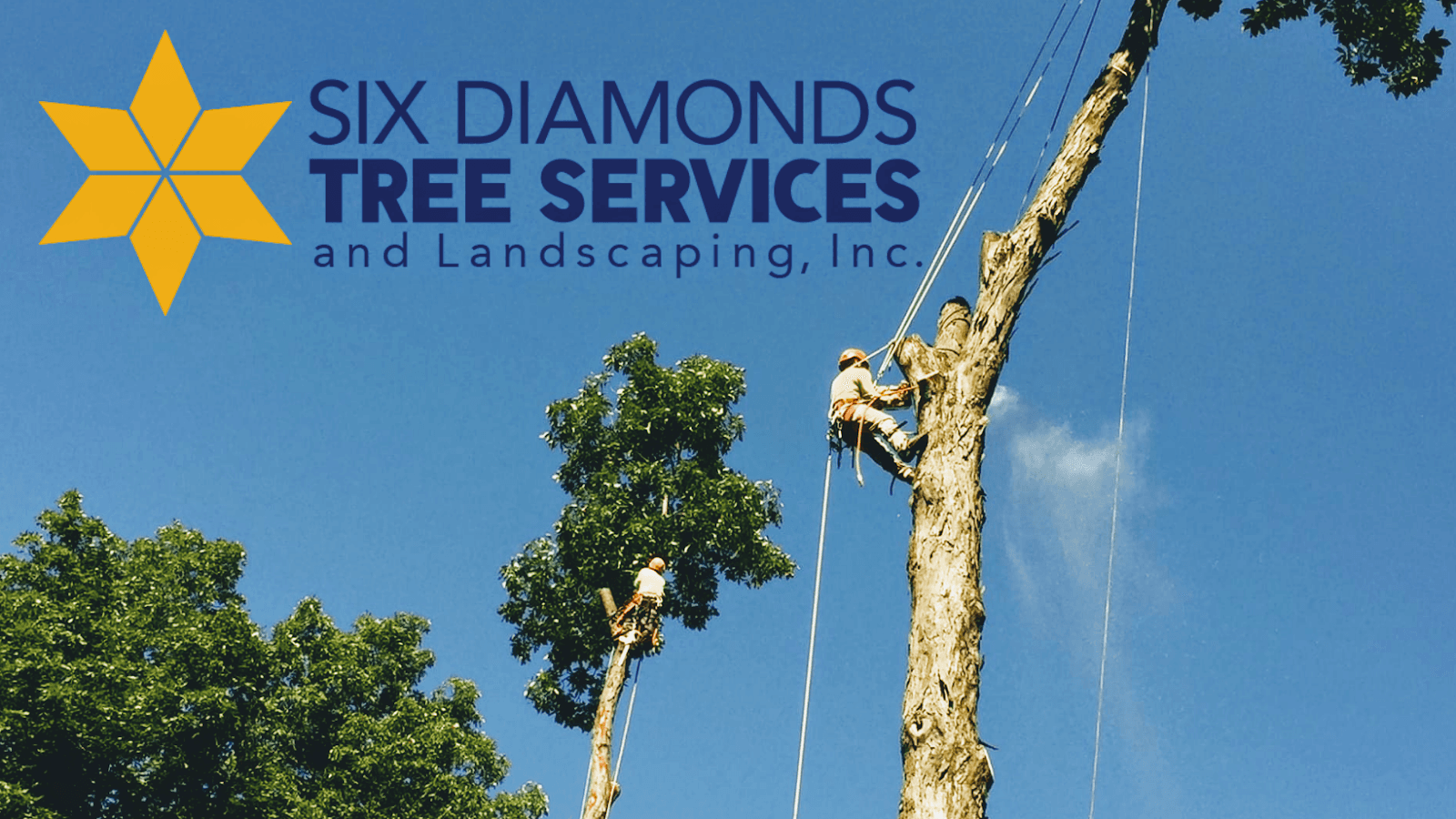 Six Diamonds Tree Services & Landscaping, Inc.