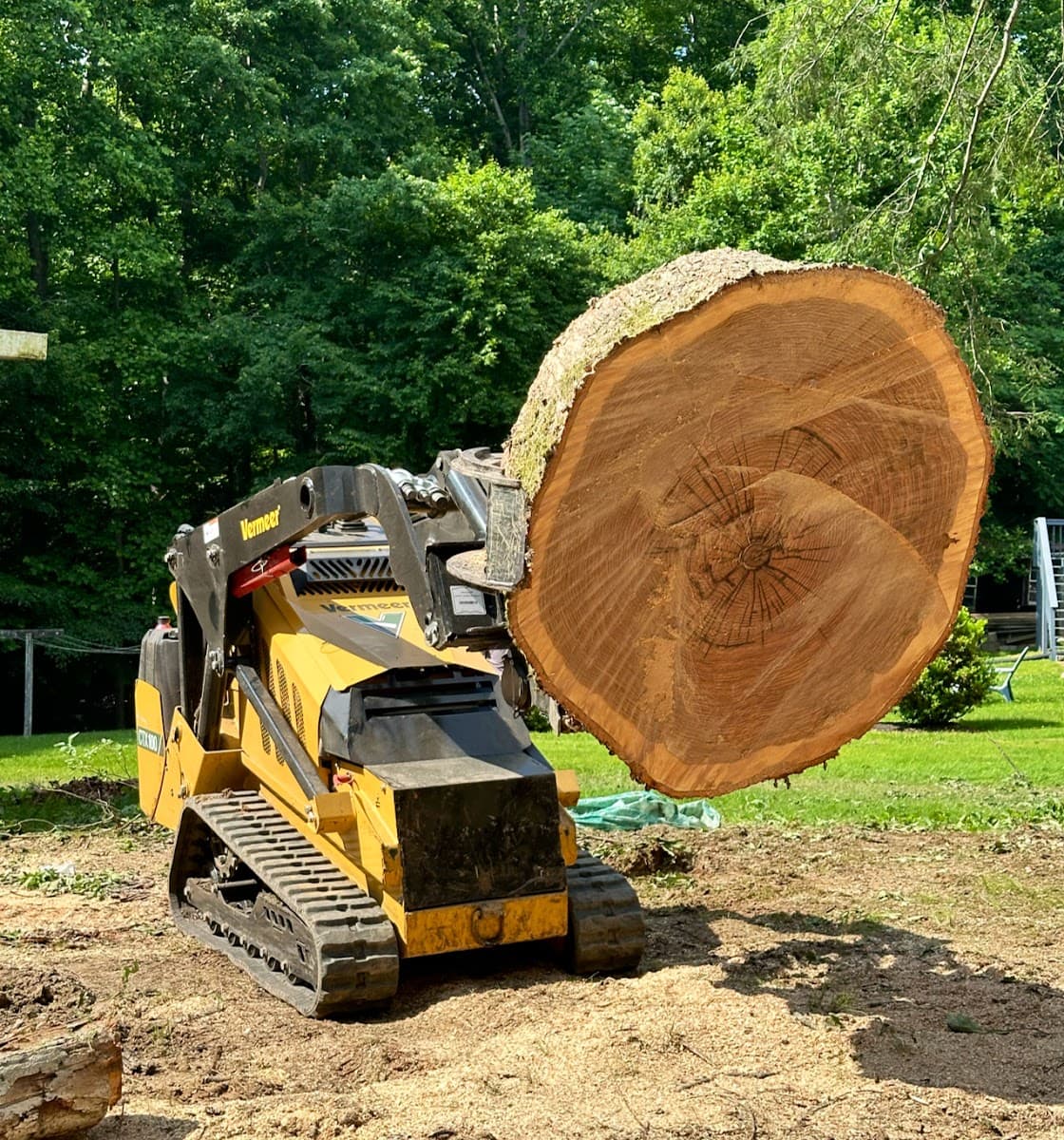 R&A Tree Experts Inc