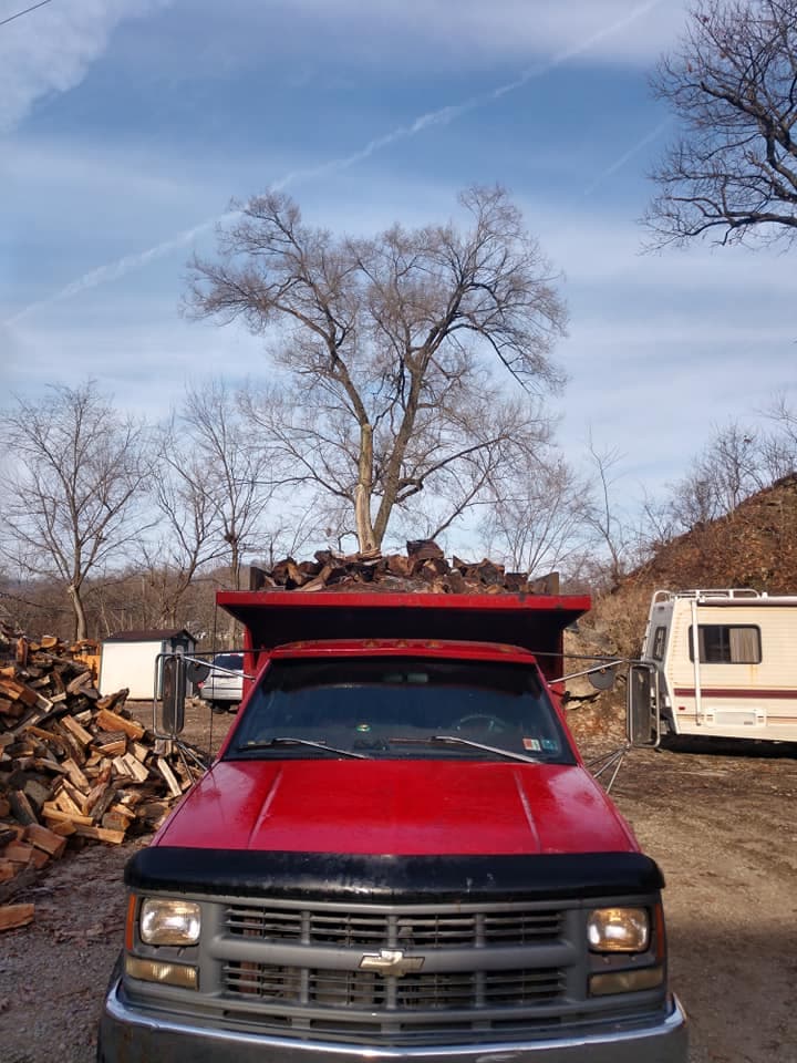 Trinity Tree Services