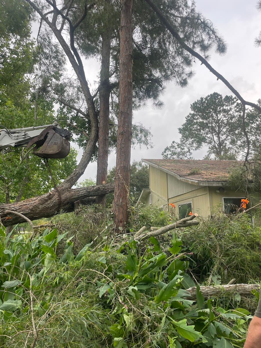 E Mykael Tree Trimming and removal service