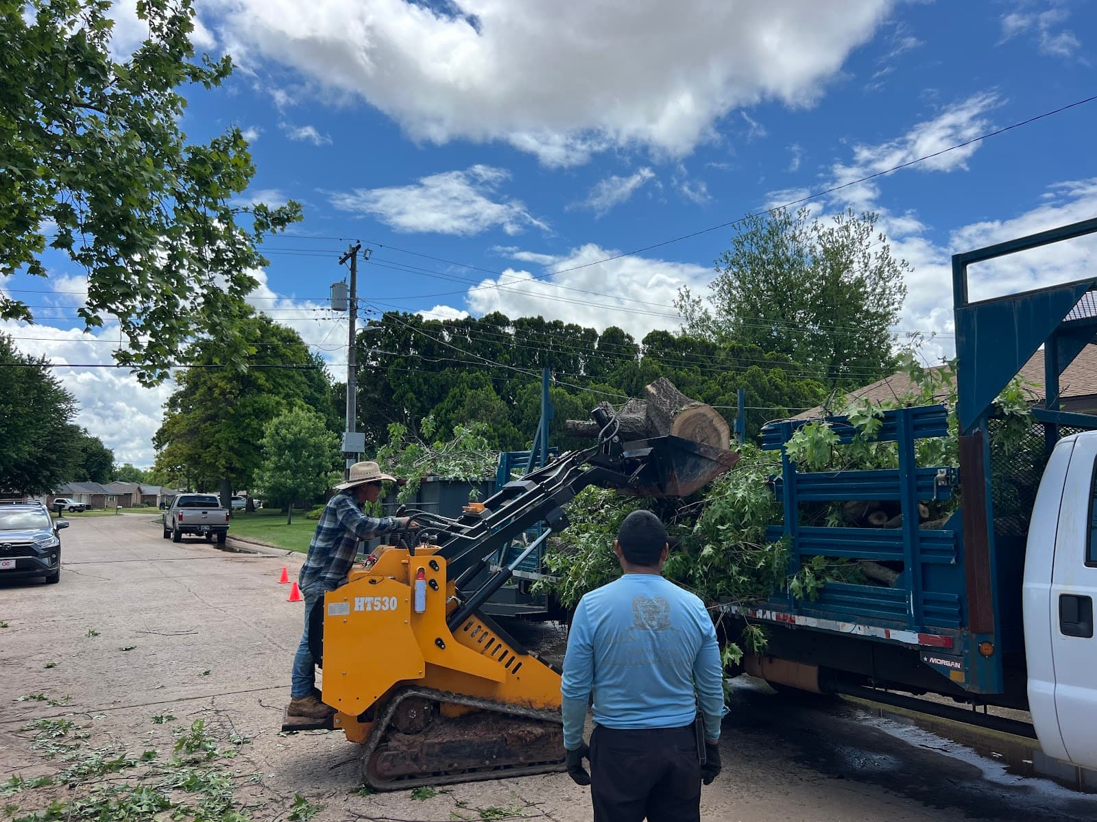 Elion Landscaping & Tree Service