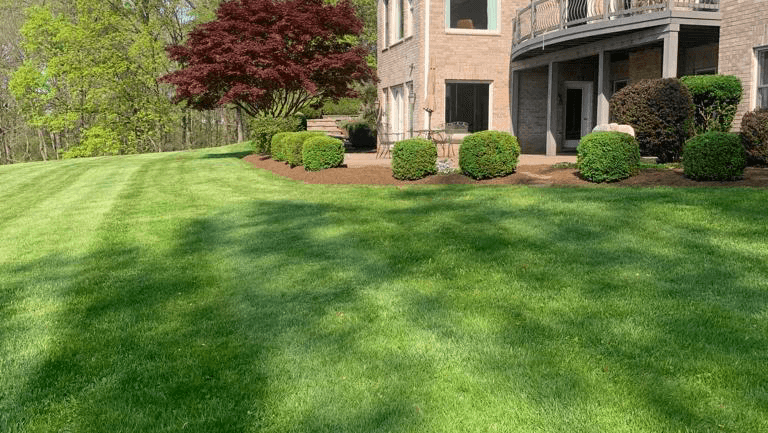 Carmona's Lawn Care & Tree Services LLC