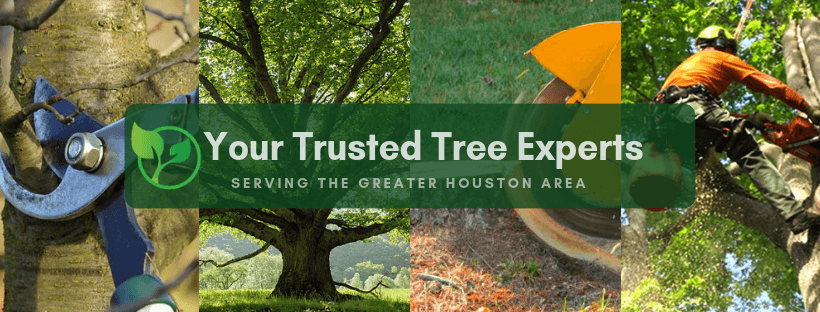 Highpoint Tree Care | Tree Service & Tree Removal Houston, TX