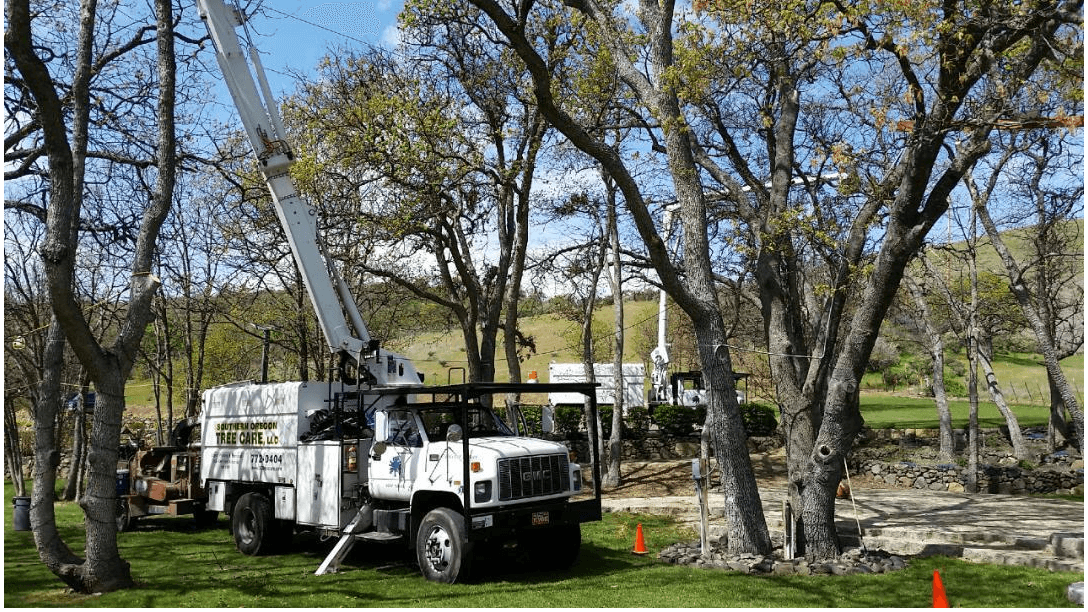Southern Oregon Tree Care LLC
