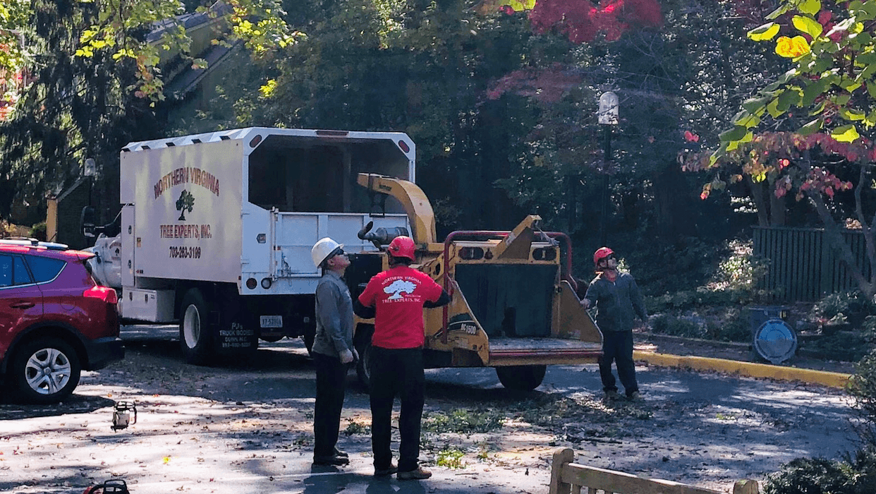 Northern Virginia Tree Experts, Inc