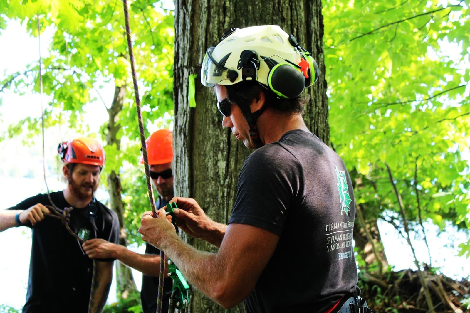 Firman Irrigation & Tree Services