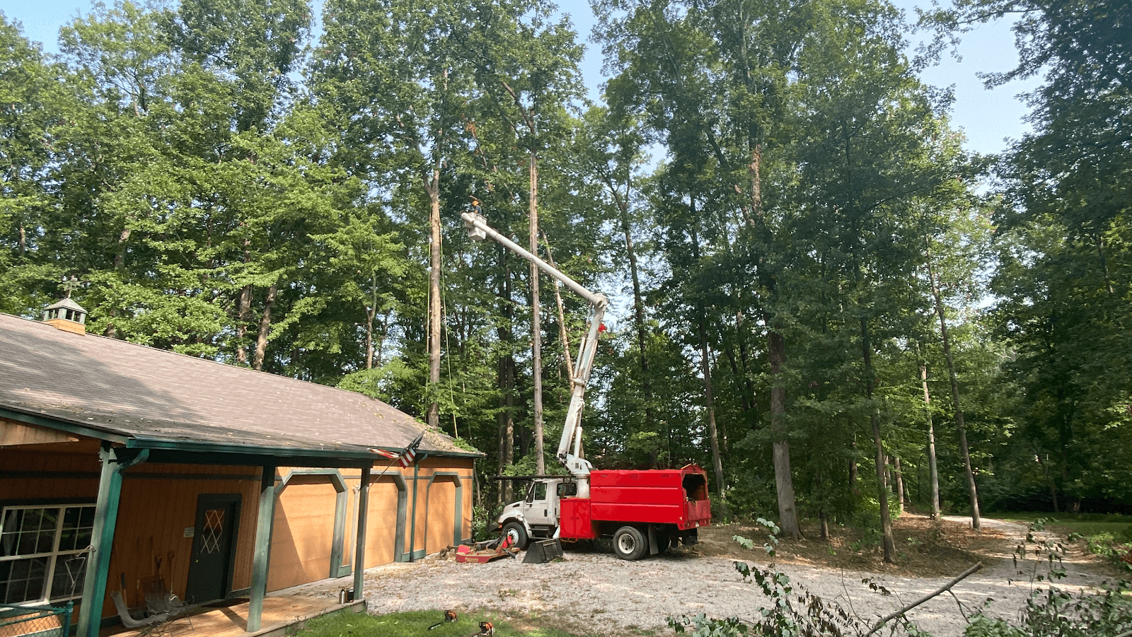Center Grove Tree Service