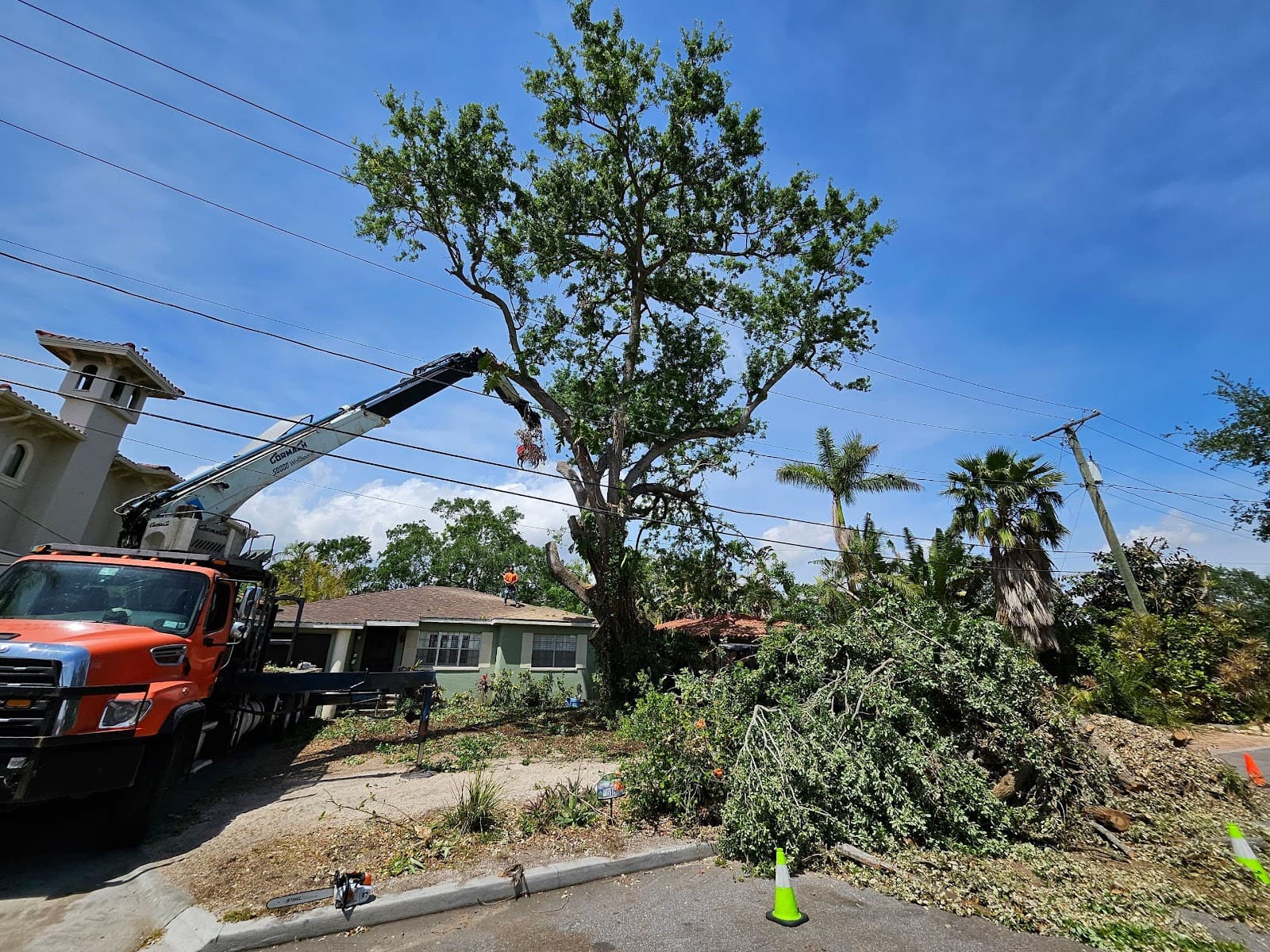 My Florida Tree Guys