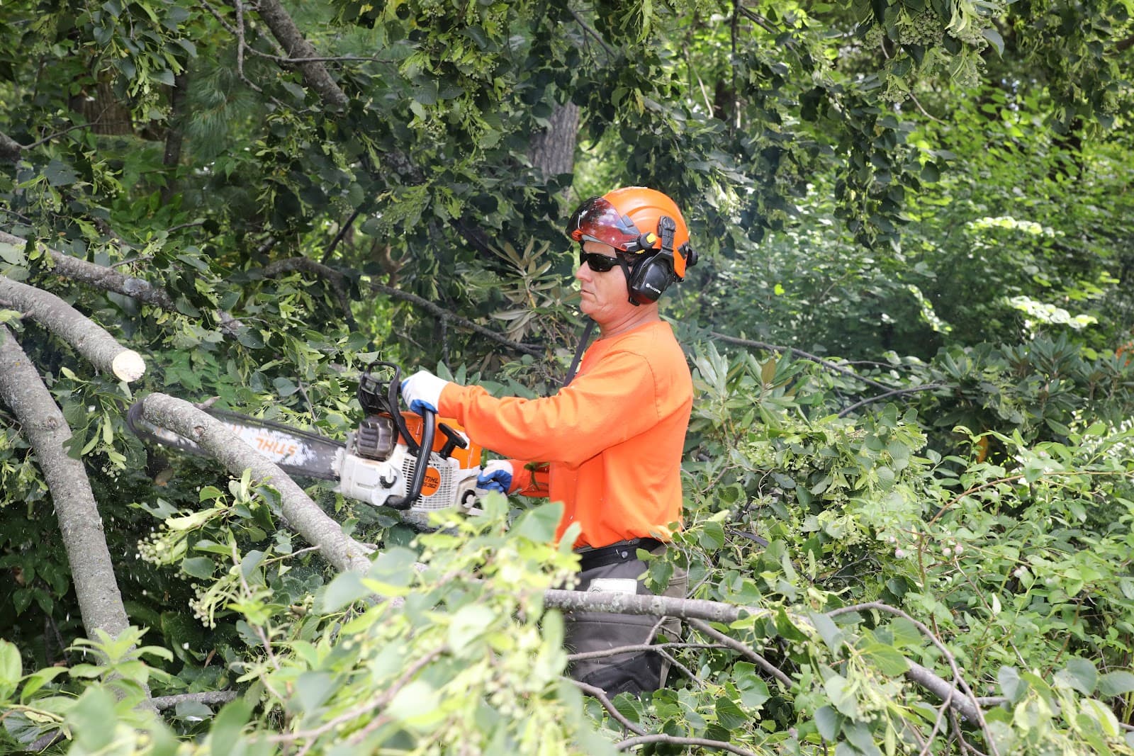Tree Care Enterprises Inc.