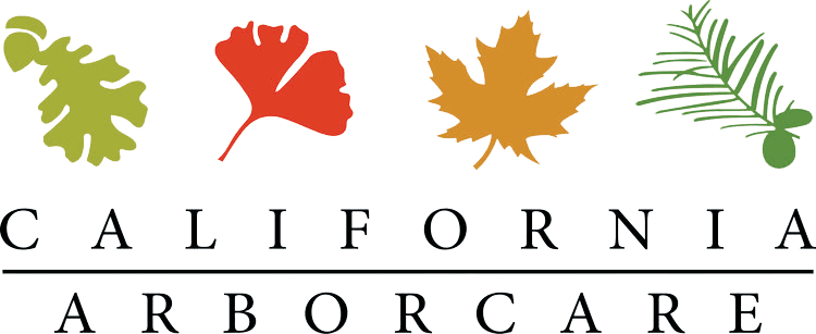 California Arbor Care Inc