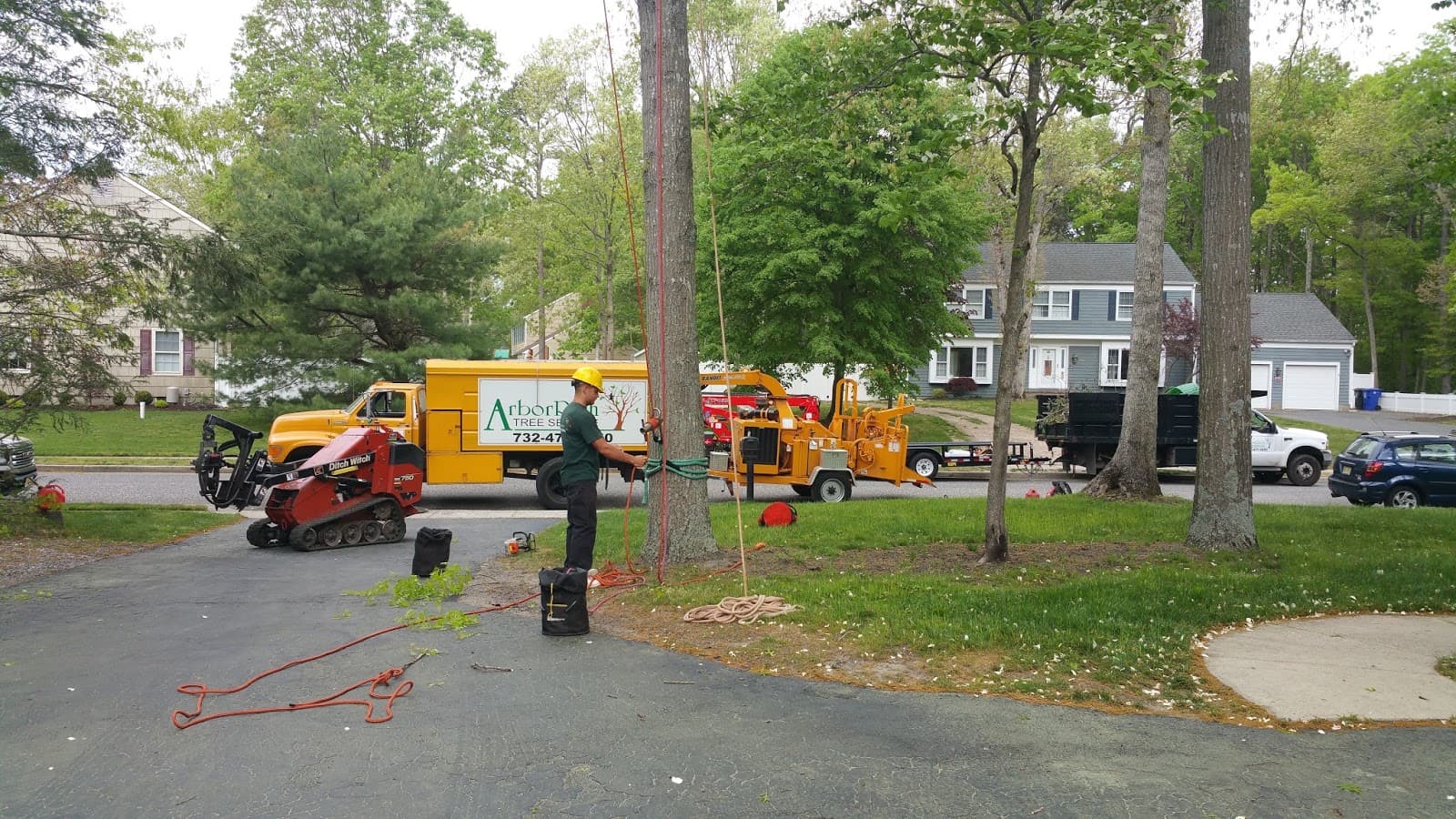 Arbor Rich Tree Service