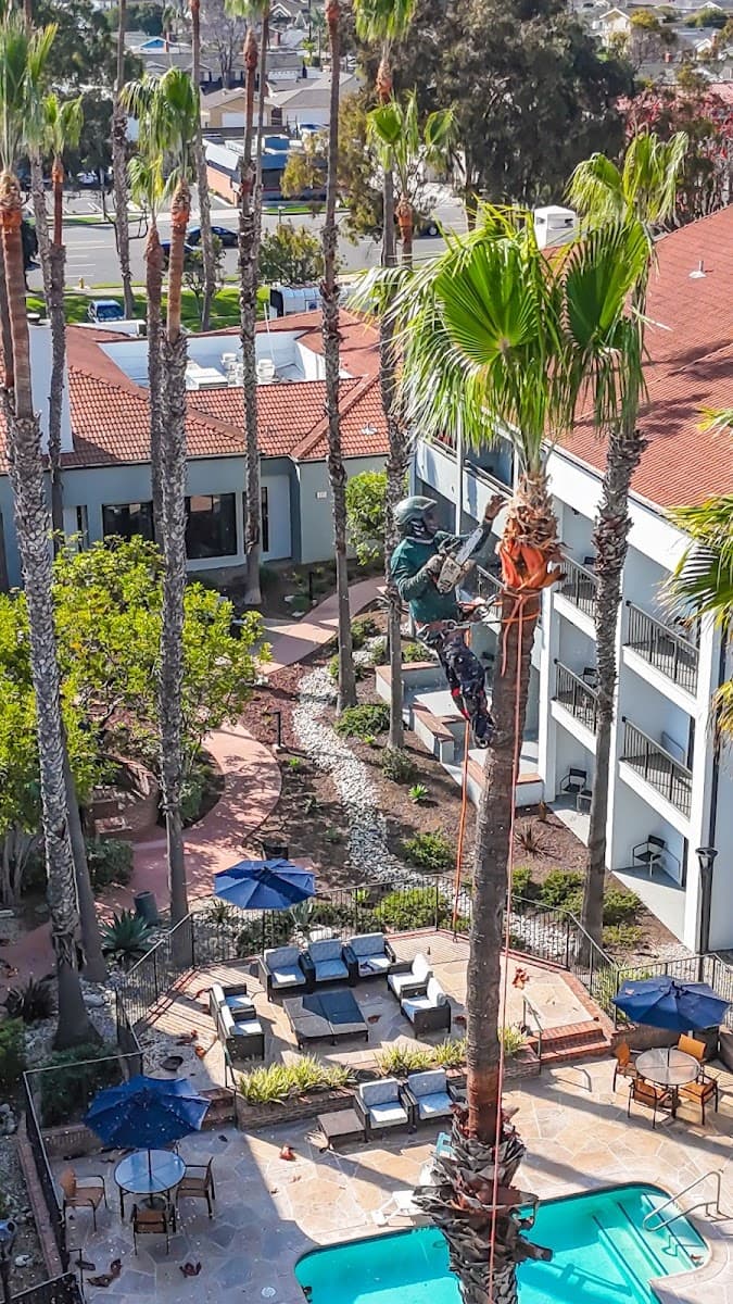 Gutierrez & Sons Tree Services and Landscaping