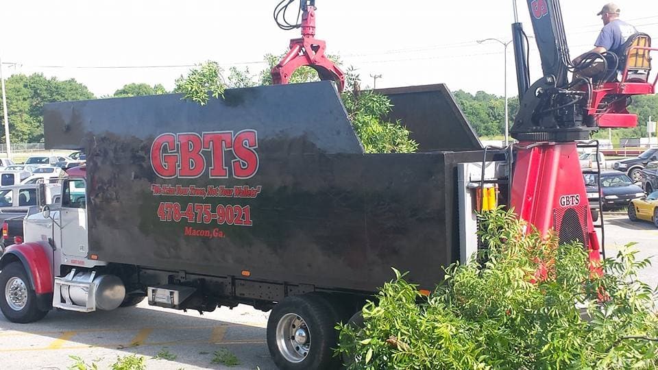 Gray Brothers Tree Service