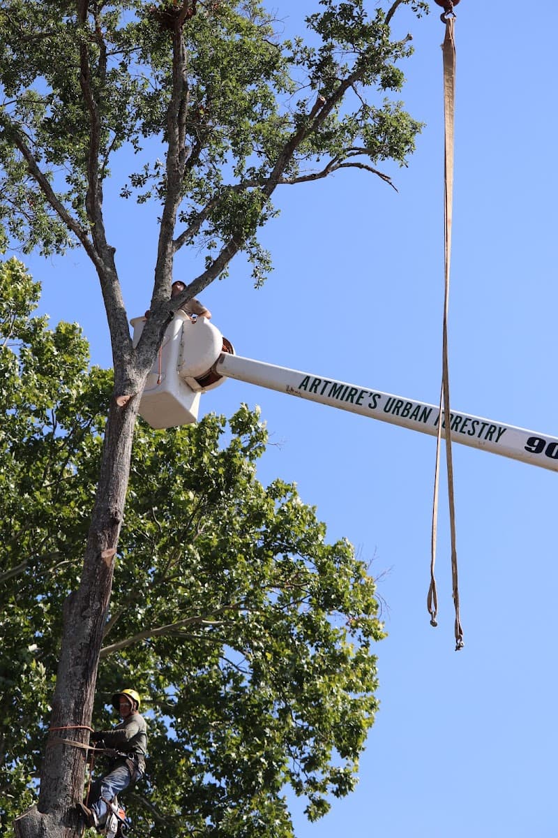 Artmire's Urban Forestry & Tree Service