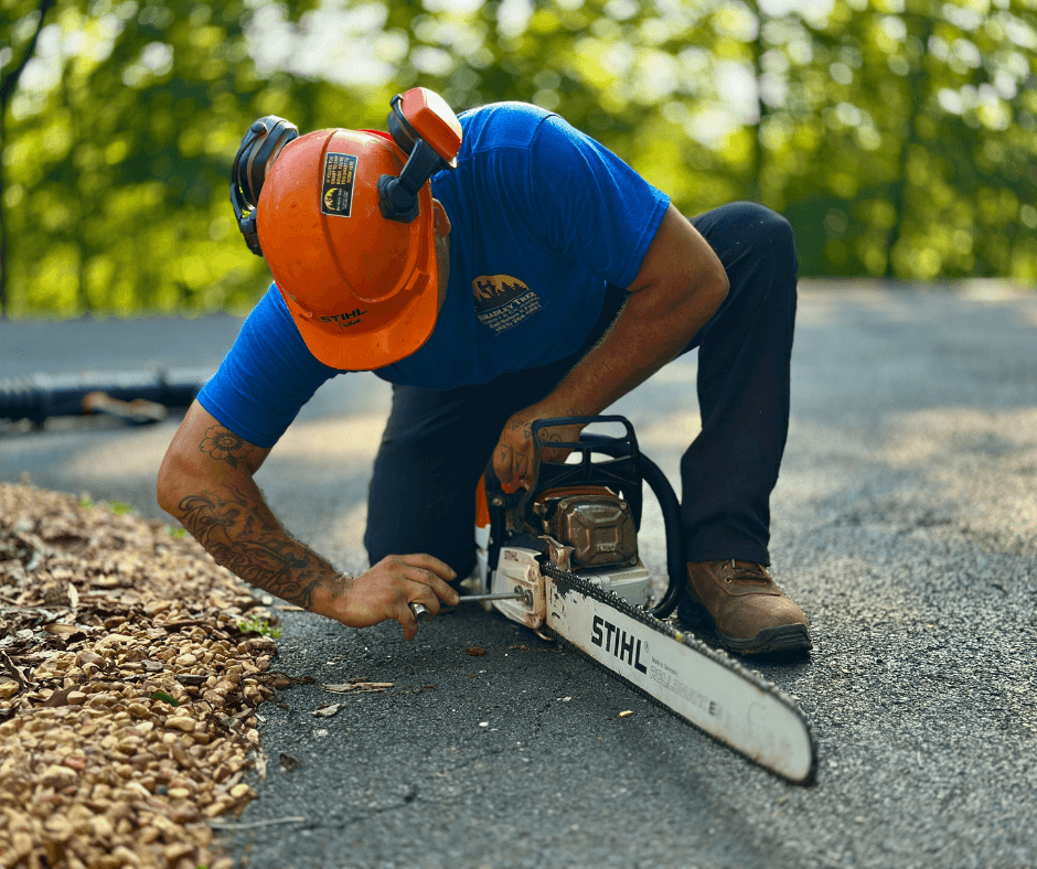 Bradley Tree Service & Excavating