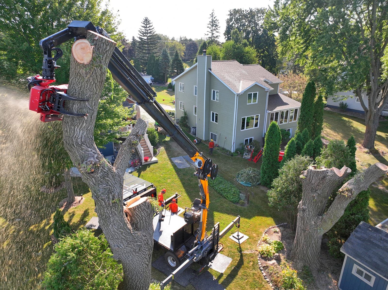 Limbwalkers Tree Service