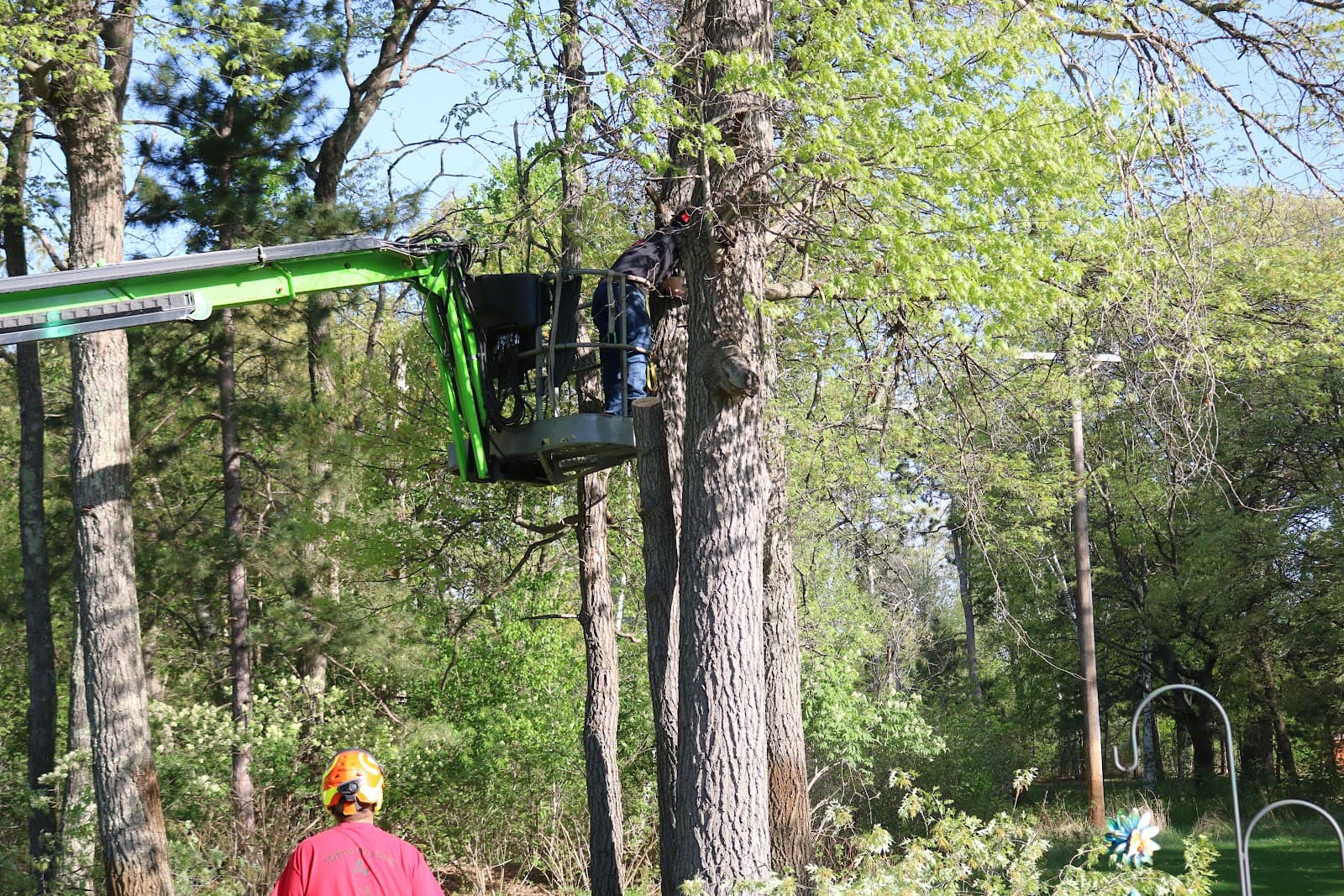 Toenyan Tree Service LLC