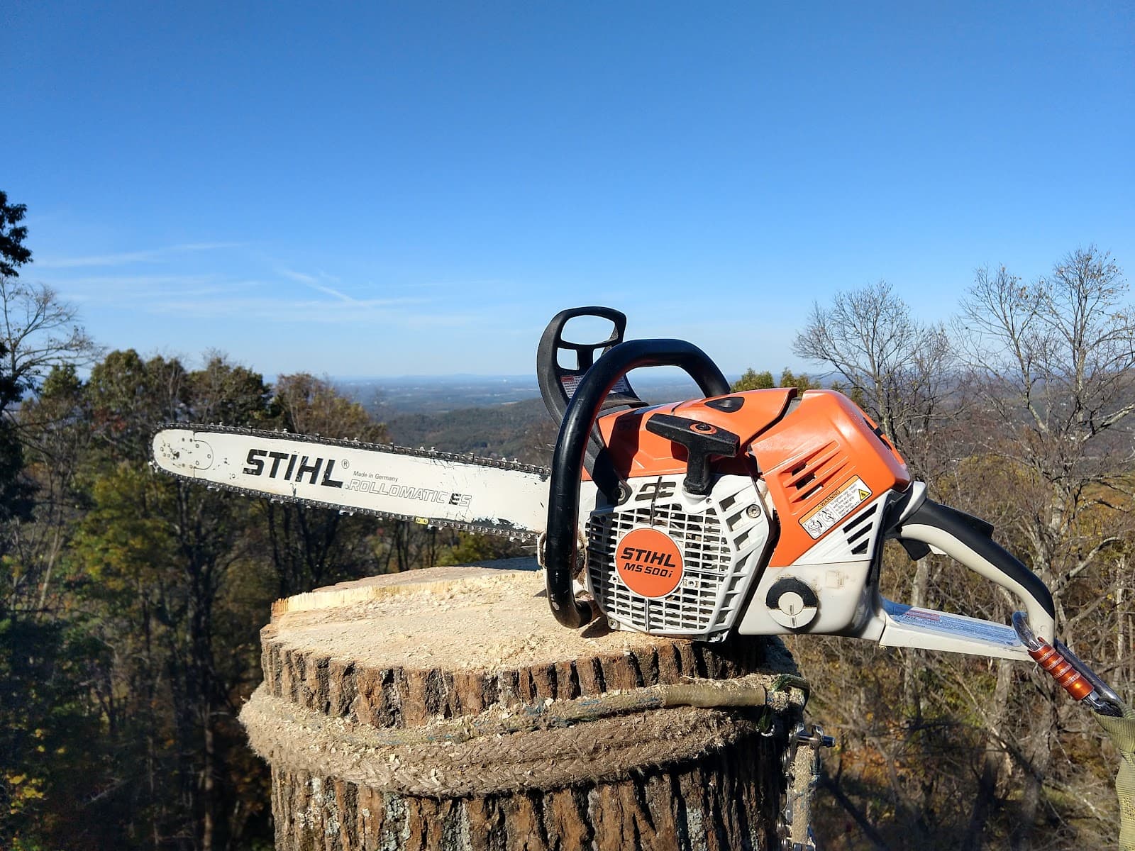 Timber Works Tree Care