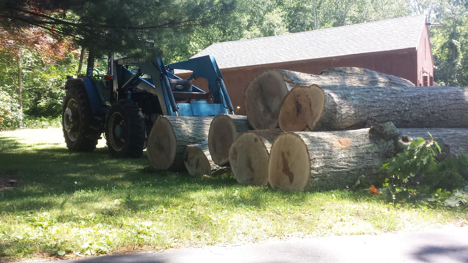 American Tree Service, Inc.