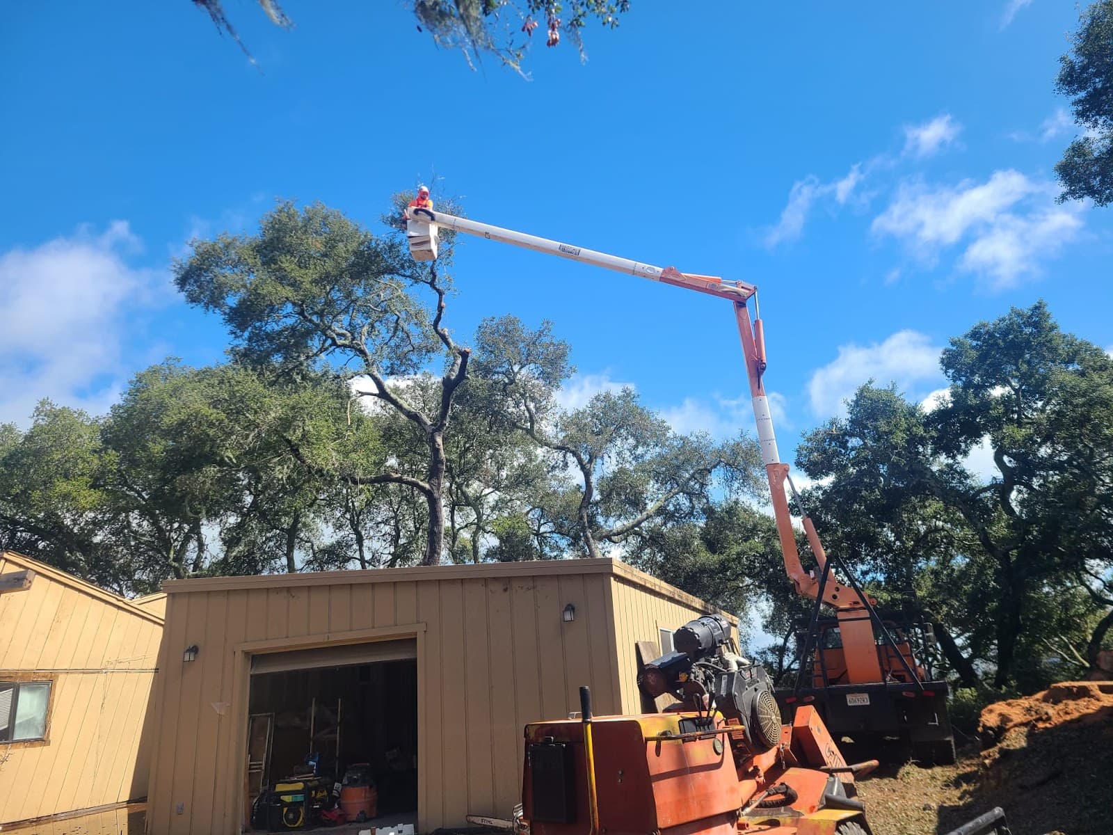 CalWest Tree Service In SLO