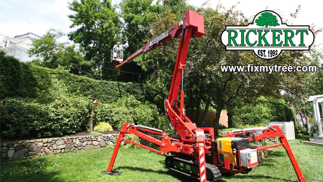 Rickert Landscaping