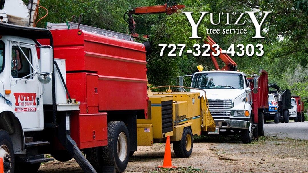 Yutzy Tree Service