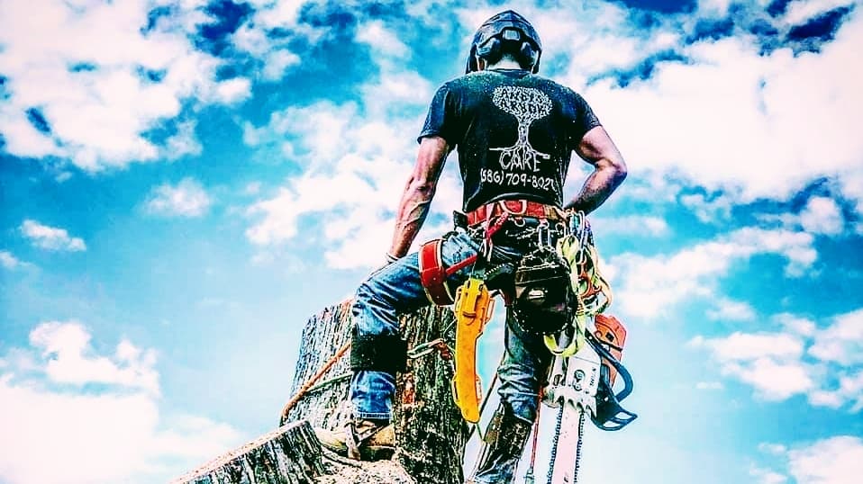 Andy's Arbor Care LLC