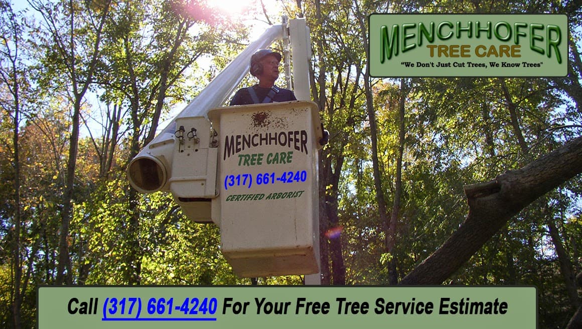 Menchhofer Tree Care LLC
