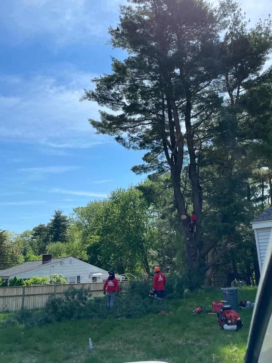 GRL Landscaping & Tree Services