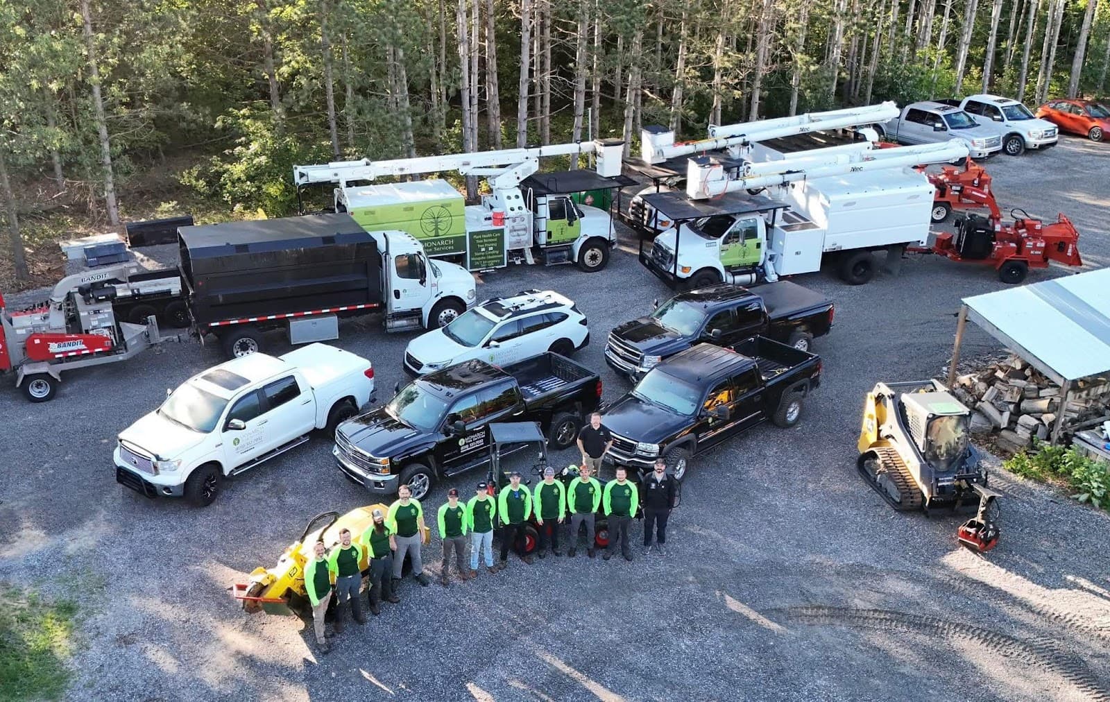 Monarch Tree Services