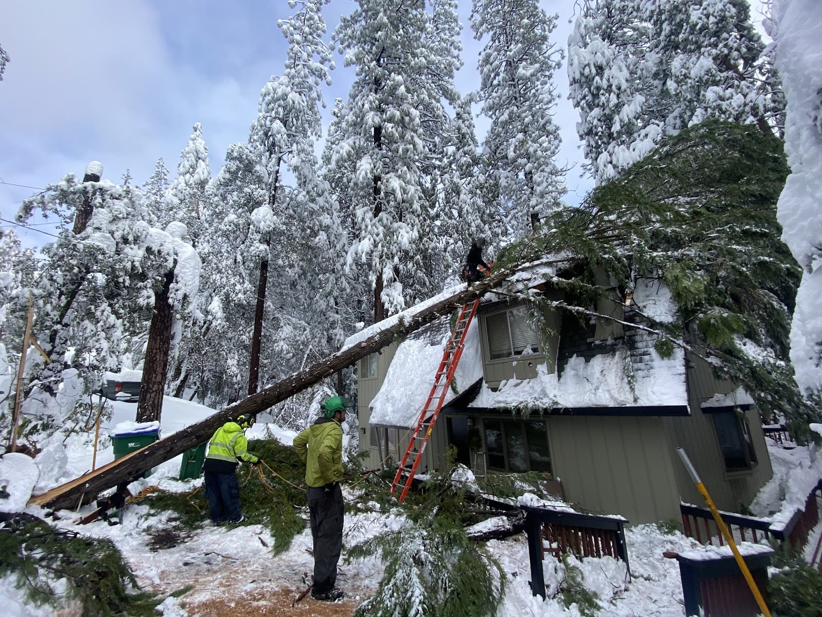 Sindelar Tree Service, INC