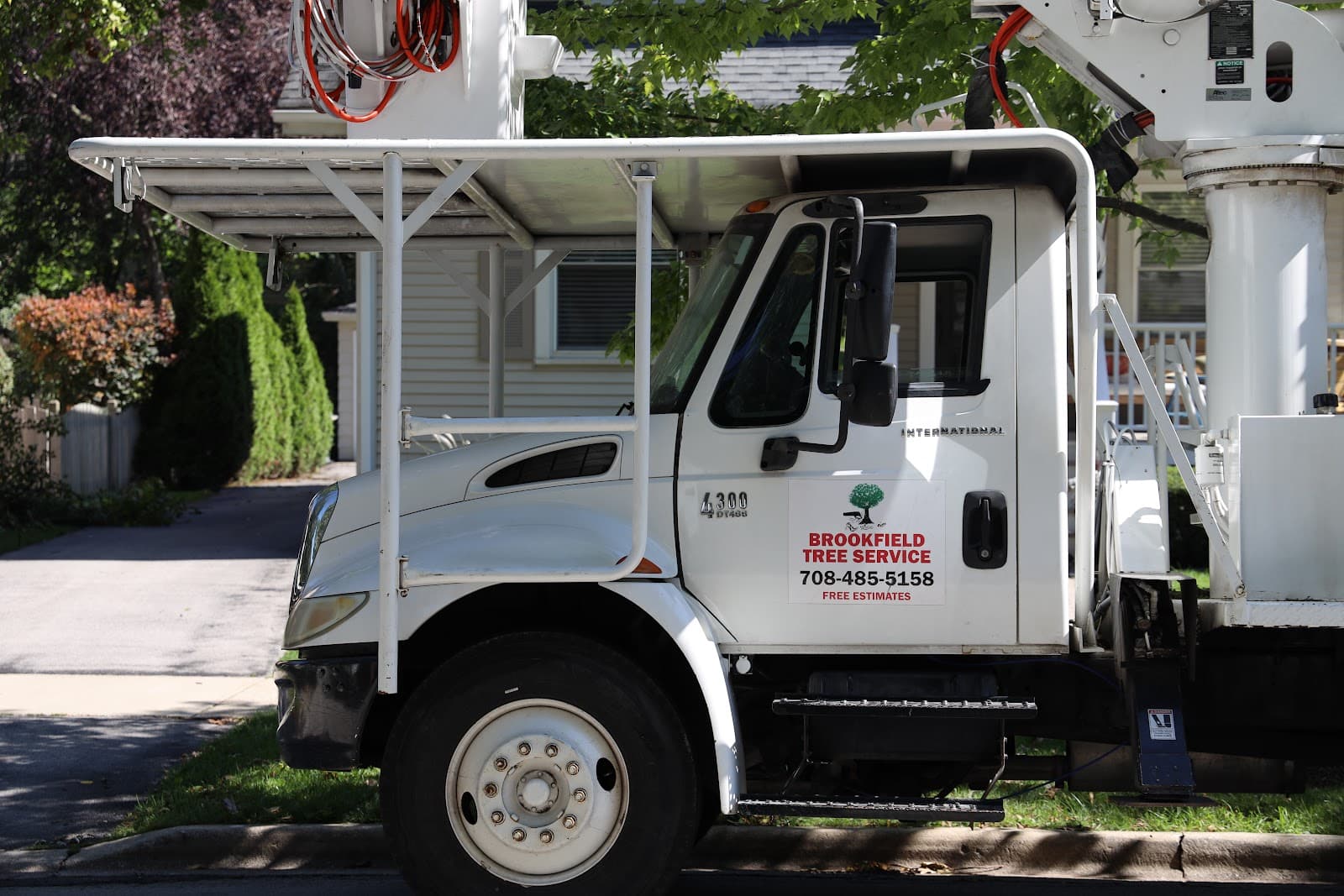 Brookfield Tree Service