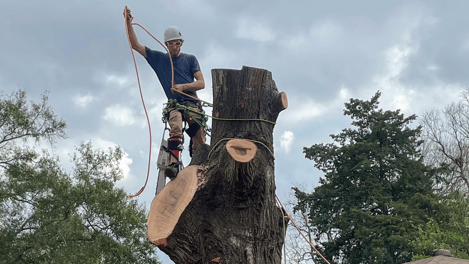 Rushing’s Tree Care, LLC