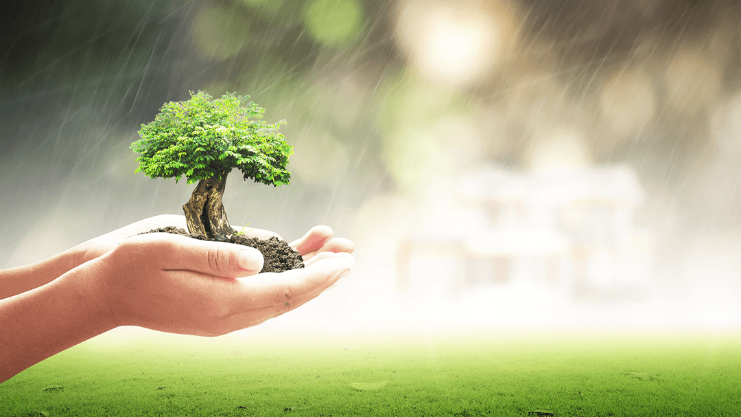 Goldanbrown Tree Service LLC