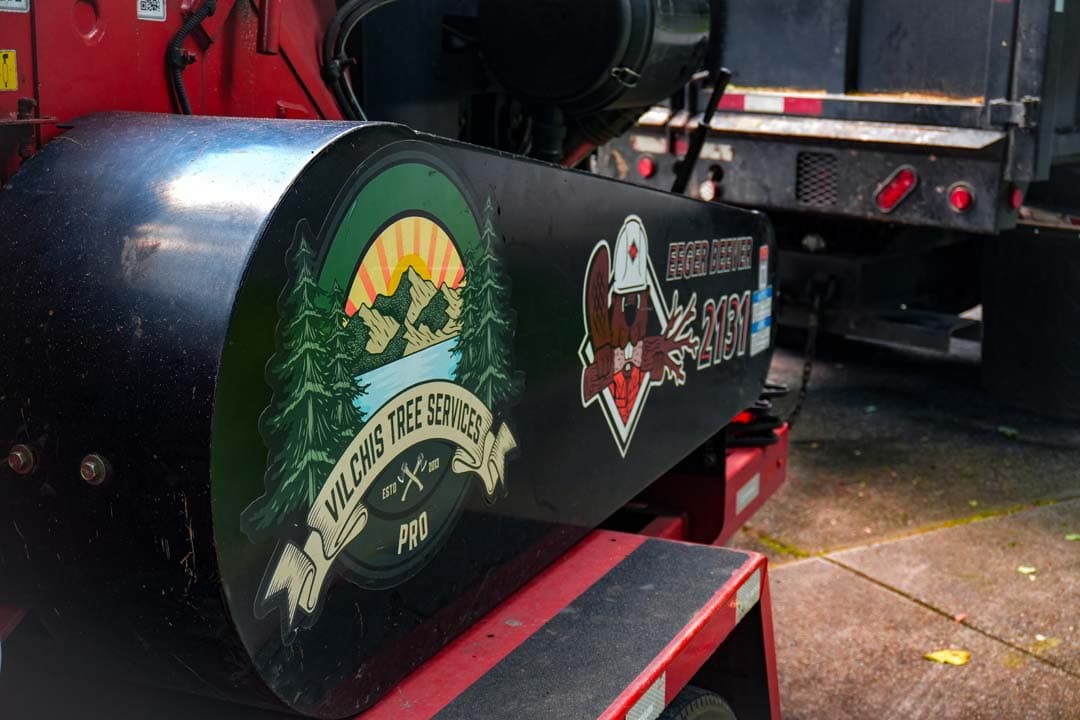 Vilchis Tree Services Pro