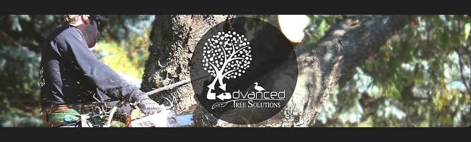Advanced Tree Solutions INC.