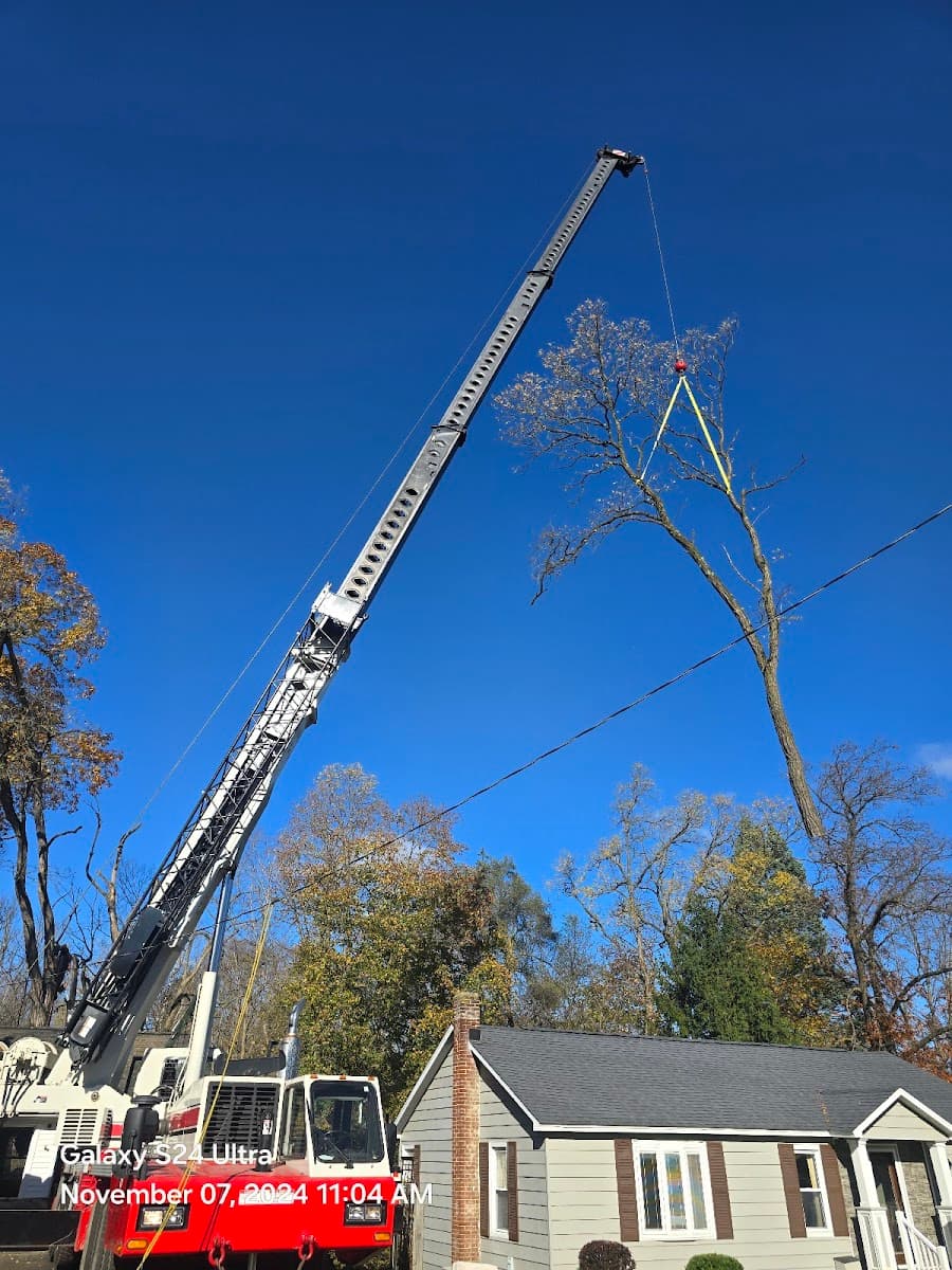 Shaffer Tree Services, LLC