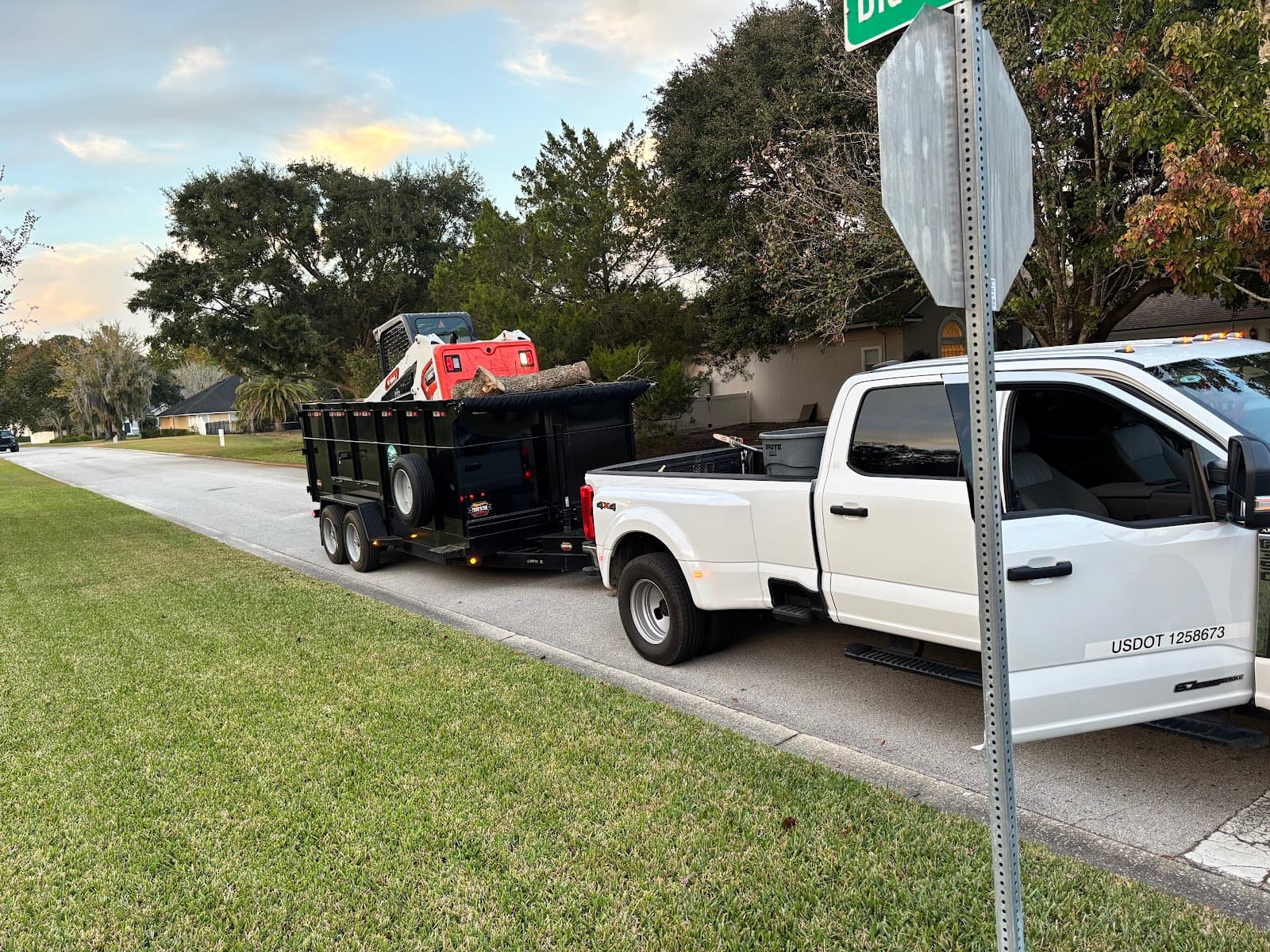 Arborist Assessment and Tree Services