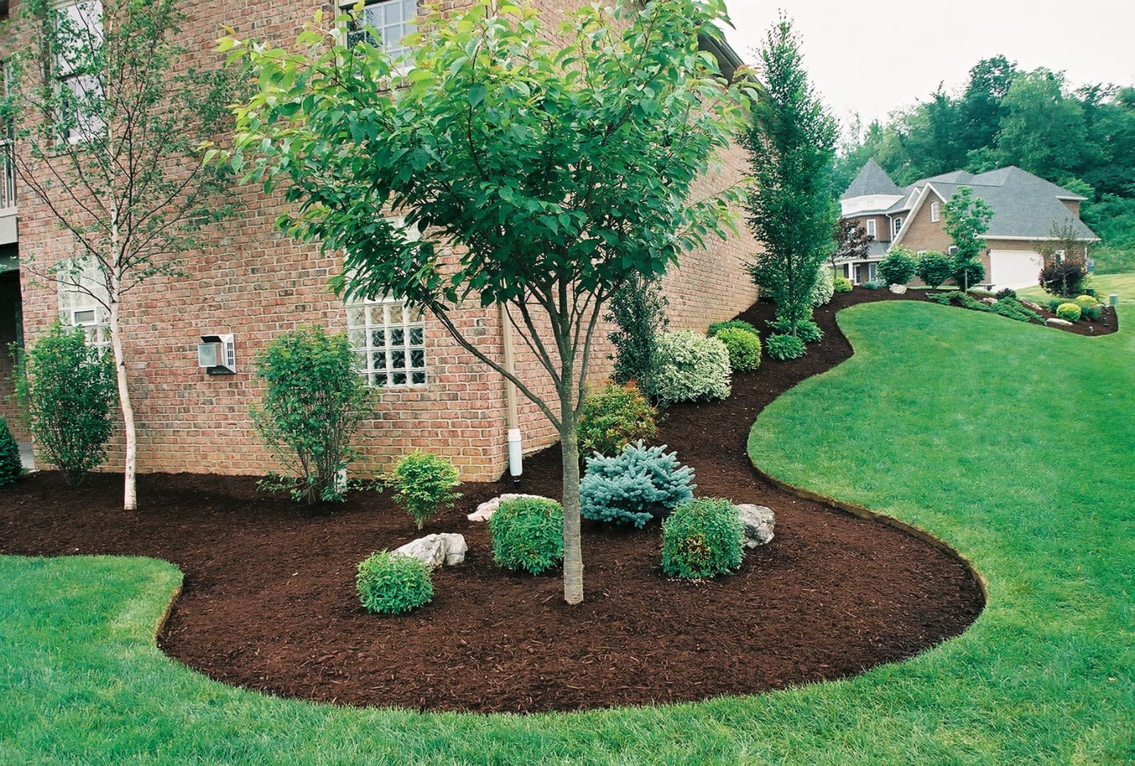 Ramírez International landscaping & tree service, lnc