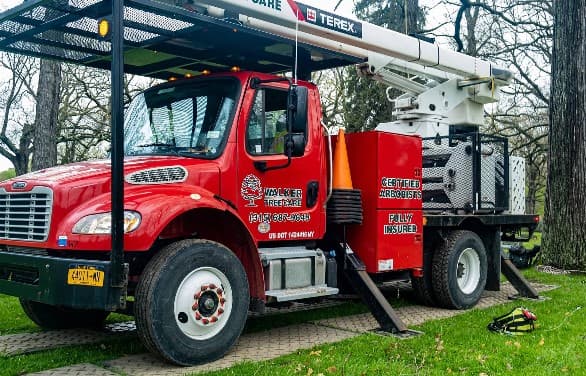 Walker Tree Care Inc.