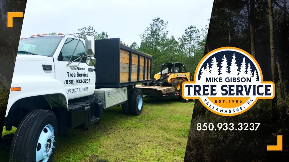 Mike Gibson Tree Service