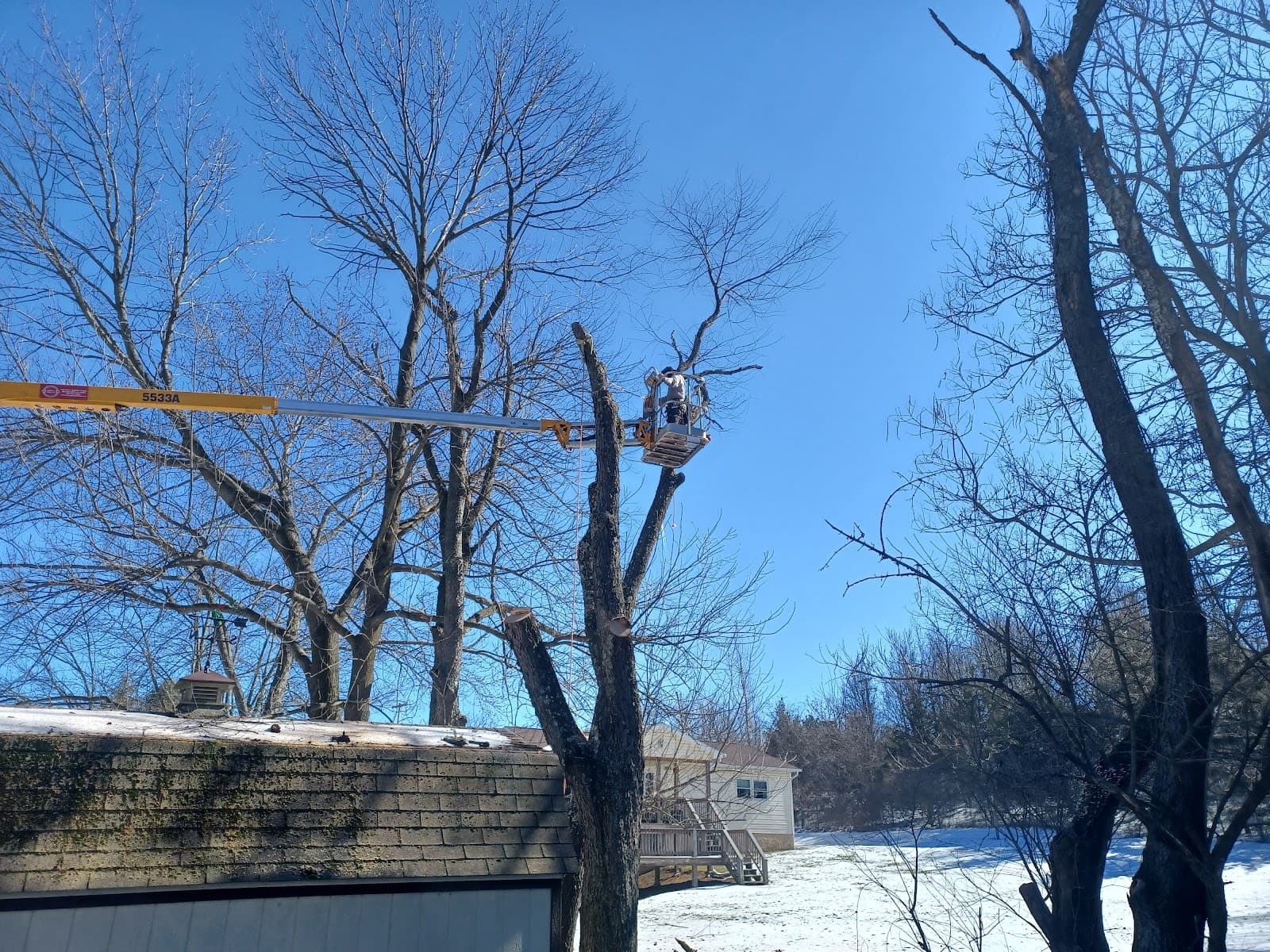 Parsons Tree Services LLC