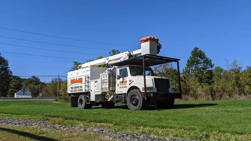 Dallas Tree Service Inc.