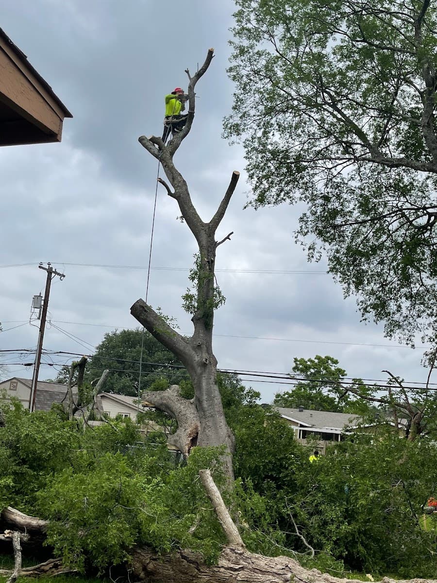 Supreme Tree Service
