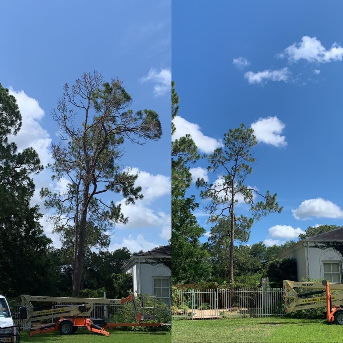 Third Coast Tree Svc