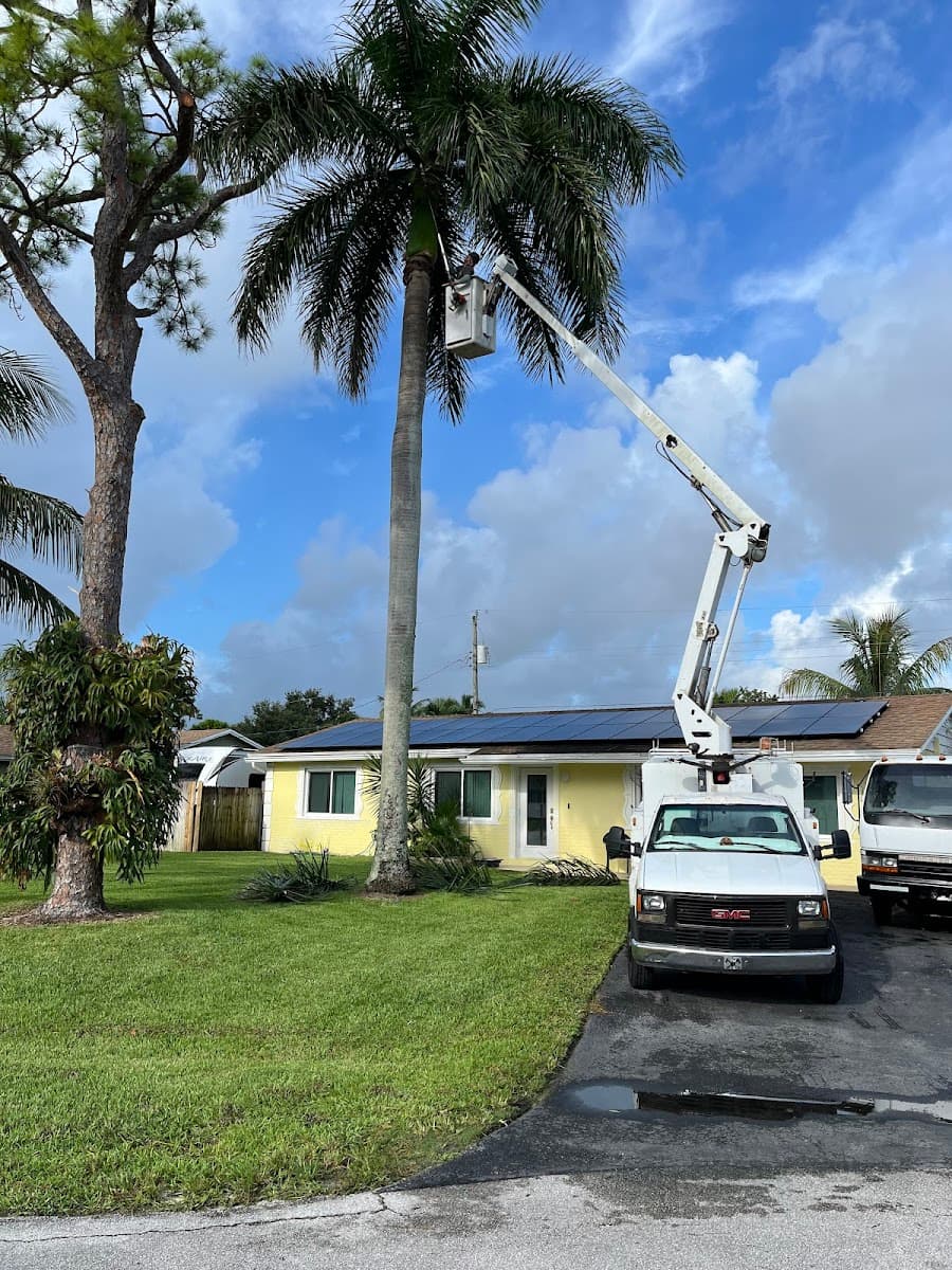Seminole Tree Service. LLC